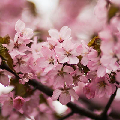 Credit 89 Reviews: What’s Their Success Rate?